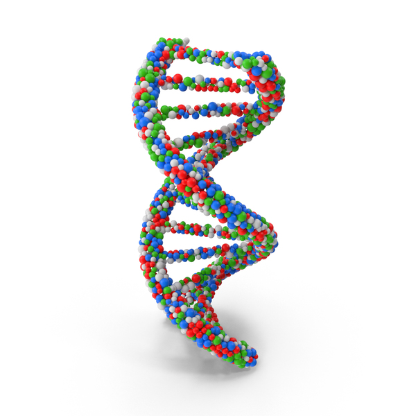 DNA PNG Images & PSDs for Download | PixelSquid - S112646555