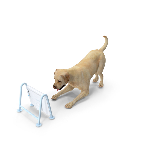 Tablet Computer: Dogsplay TV Video Device With Dog PNG & PSD Images Tablet Computer: Dogsplay TV Video Device With Dog PNG & PSD Images