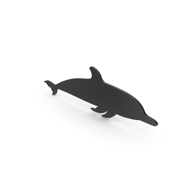 Dolphin PNG & PSD Images