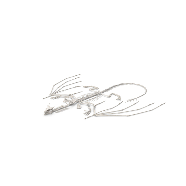 Animal: Dragon Skeleton In Unfolded State PNG & PSD Images
