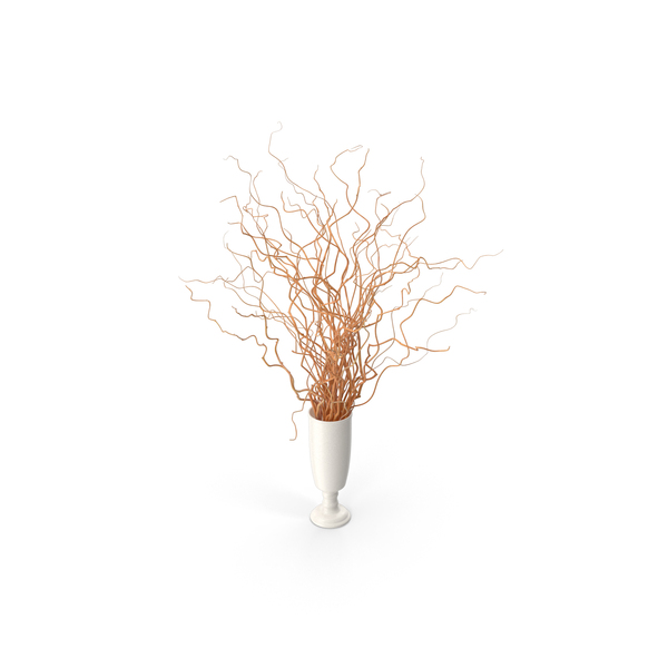 Modern: Dried Natural Curly Willow In Porcelain Vase PNG & PSD Images Modern: Dried Natural Curly Willow In Porcelain Vase PNG & PSD Images