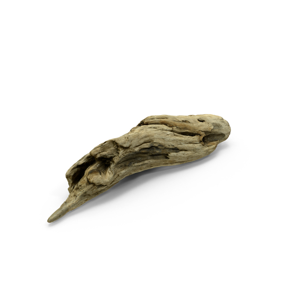 Branch: Driftwood PNG & PSD Images Branch: Driftwood PNG & PSD Images