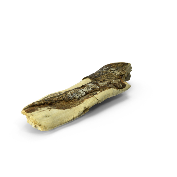 Log: Driftwood PNG & PSD Images Log: Driftwood PNG & PSD Images