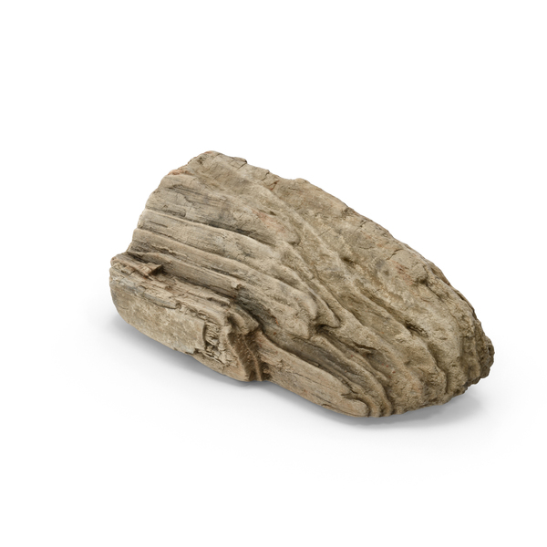 Log: Driftwood Object Log: Driftwood Object