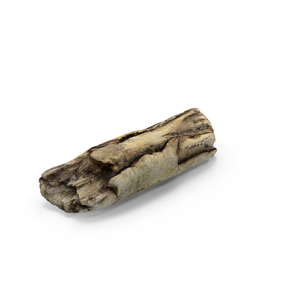 Log: Driftwood PNG & PSD Images