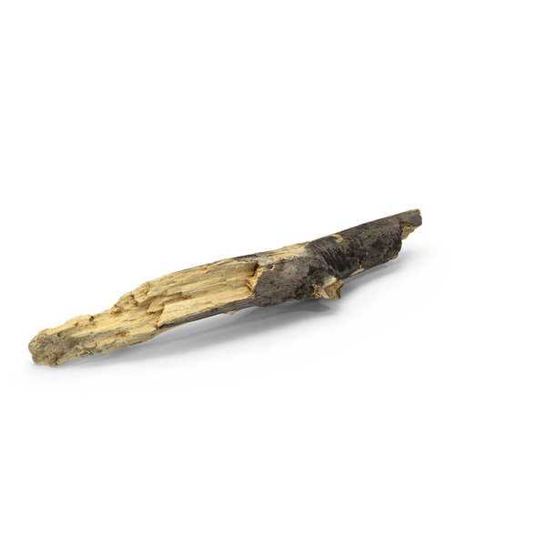 Log: Driftwood PNG & PSD Images Log: Driftwood PNG & PSD Images
