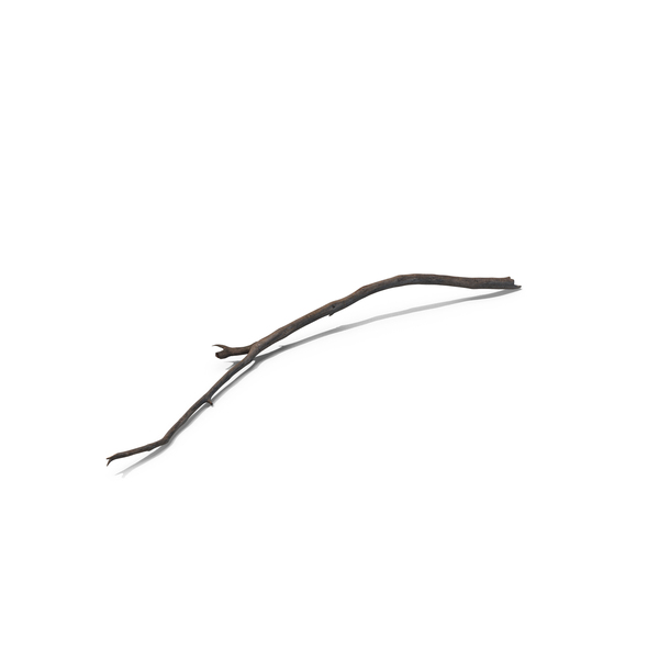 Dry Branch PNG & PSD Images Dry Branch PNG & PSD Images