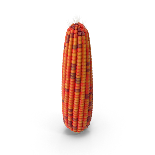 Ear of Corn PNG & PSD Images