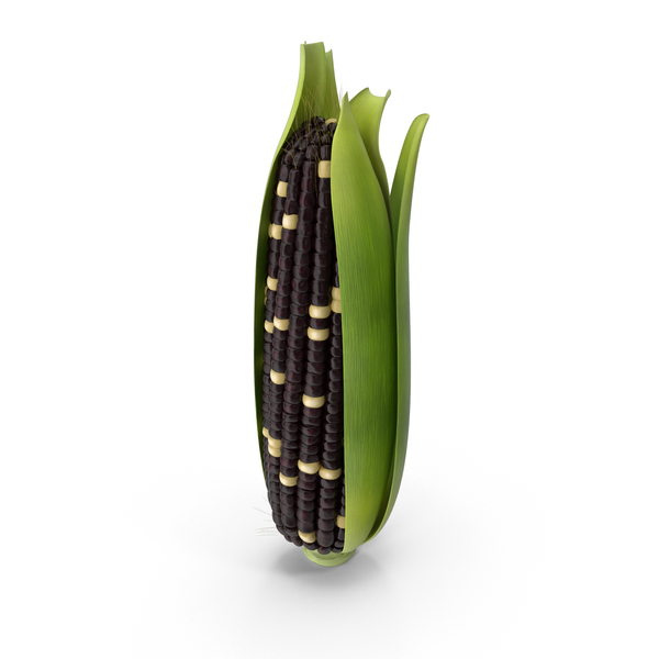 Ear of Corn PNG & PSD Images Ear of Corn PNG & PSD Images