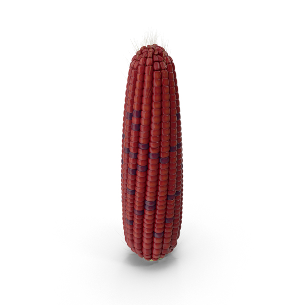 Ear of Corn PNG & PSD Images Ear of Corn PNG & PSD Images