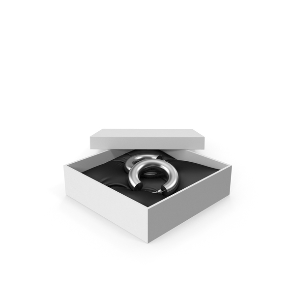 Earrings Silver Hoops in a Gift White Box PNG & PSD Images Earrings Silver Hoops in a Gift White Box PNG & PSD Images