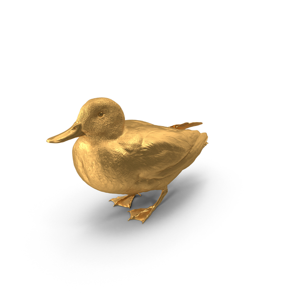 Bird PNG Images & PSDs for Download | PixelSquid