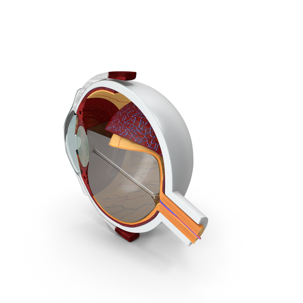 Eyes: Eye Bend PNG & PSD Images