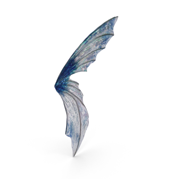 Fairy Wing PNG & PSD Images