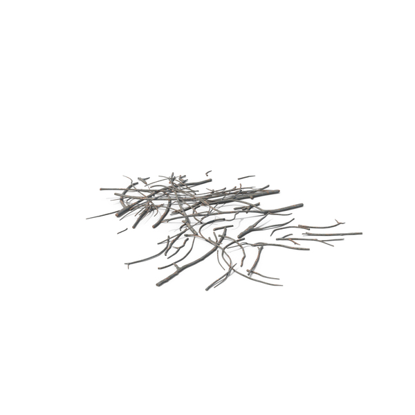 Branch: Fallen Tree Branches PNG & PSD Images