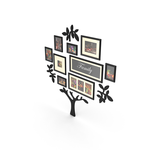 Family Tree Frames PNG Images & PSDs for Download | PixelSquid - S11994983C