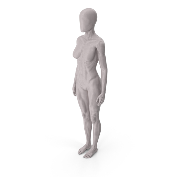 Woman: Female Base Body Gray Standing PNG & PSD Images Woman: Female Base Body Gray Standing PNG & PSD Images
