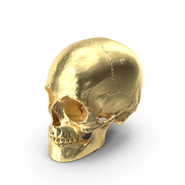 Skeleton: Female Human Skull Gold Metal PNG & PSD Images