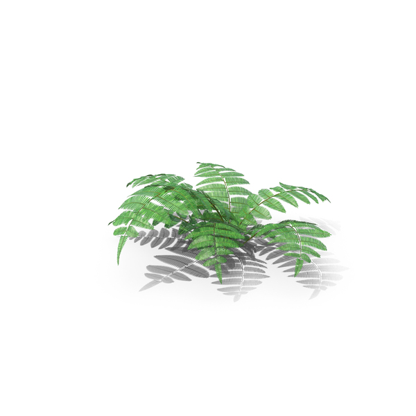 Industrial Equipment: Fern Bush PNG & PSD Images Industrial Equipment: Fern Bush PNG & PSD Images