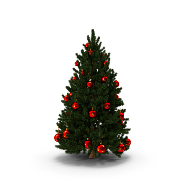 Christmas: Fir Tree 01 PNG & PSD Images Christmas: Fir Tree 01 PNG & PSD Images