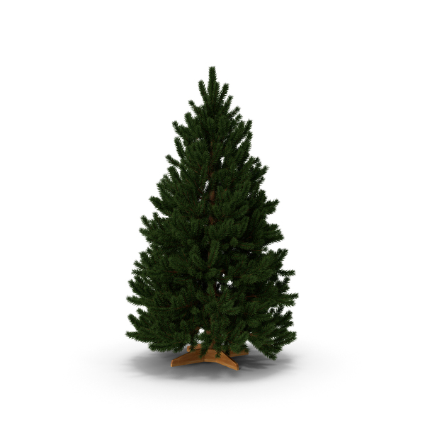 Christmas: Fir Tree 02 PNG & PSD Images Christmas: Fir Tree 02 PNG & PSD Images