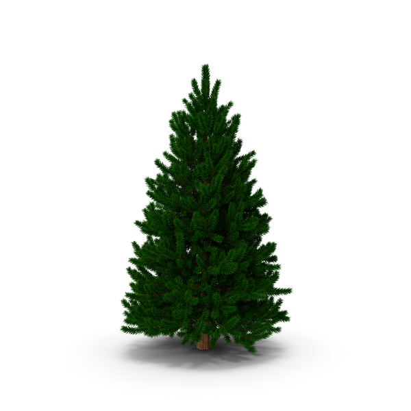 Christmas Tree: Fir Tree(1) PNG & PSD Images Christmas Tree: Fir Tree(1) PNG & PSD Images