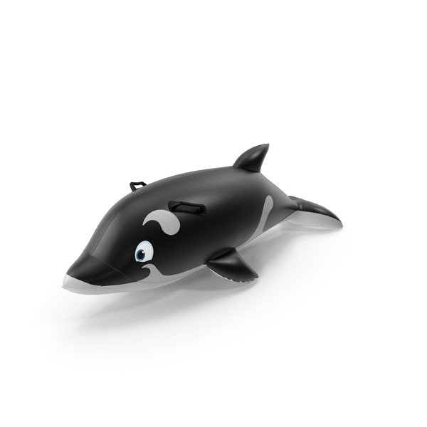Pool Toy: Float Ring dolphin 02 PNG & PSD Images