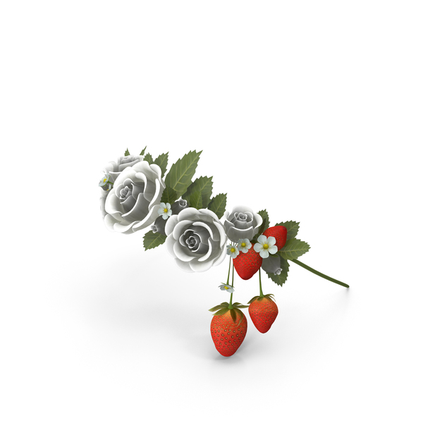 Flowering Plants: Floral Circlet PNG & PSD Images Flowering Plants: Floral Circlet PNG & PSD Images