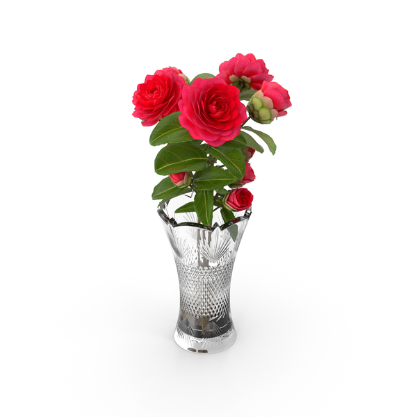 Camellia: Flower Bouquet in Vase PNG & PSD Images