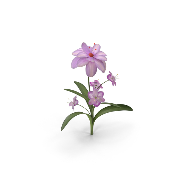 Flowering Plants: Flower PNG & PSD Images Flowering Plants: Flower PNG & PSD Images