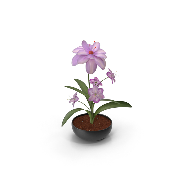 Flowering Plants: Flower In Black Pot PNG & PSD Images Flowering Plants: Flower In Black Pot PNG & PSD Images
