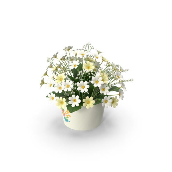 Flowering Plants: Flowers Camomile Bouquet PNG & PSD Images Flowering Plants: Flowers Camomile Bouquet PNG & PSD Images