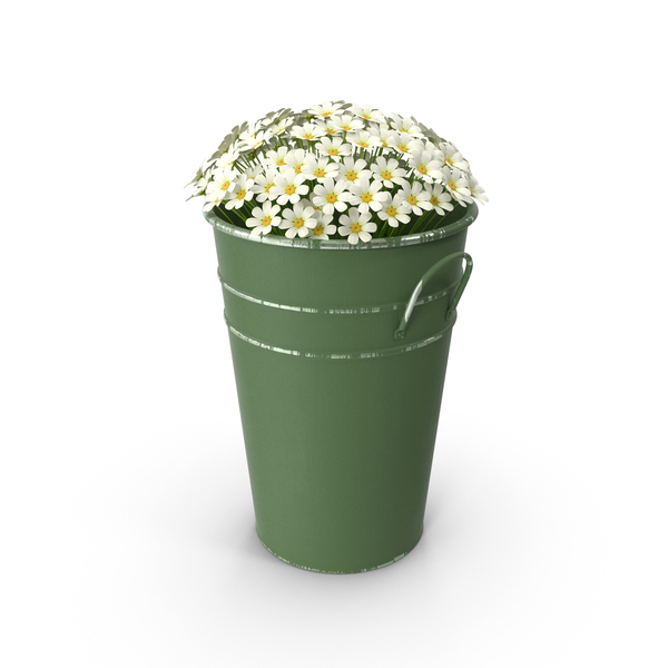 Flower Pot: Flowers in Bucket PNG & PSD Images Flower Pot: Flowers in Bucket PNG & PSD Images