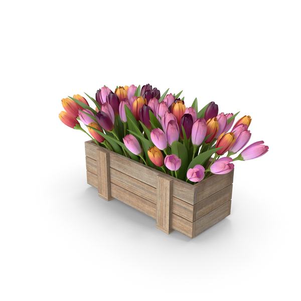 Tree Barrier: Flowers In Street Planter PNG & PSD Images