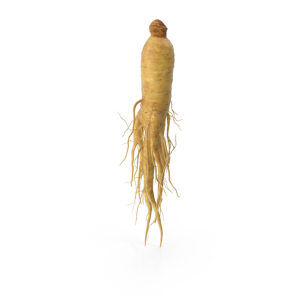 Fresh Ginseng Root PNG & PSD Images