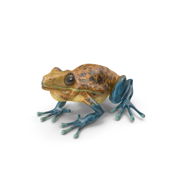 Frog PNG & PSD Images Frog PNG & PSD Images