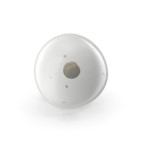 Frog Egg PNG & PSD Images