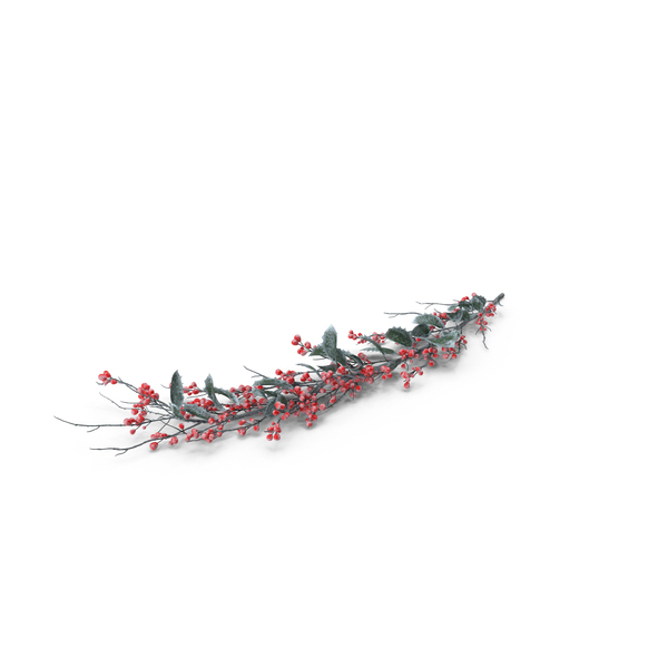 Frosted Holly Twig PNG & PSD Images