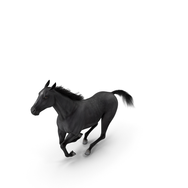 Gallop Pose Horse Fur PNG & PSD Images Gallop Pose Horse Fur PNG & PSD Images