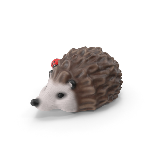 Garden Hedgehog PNG & PSD Images