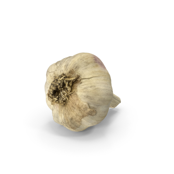 Garlic PNG & PSD Images Garlic PNG & PSD Images