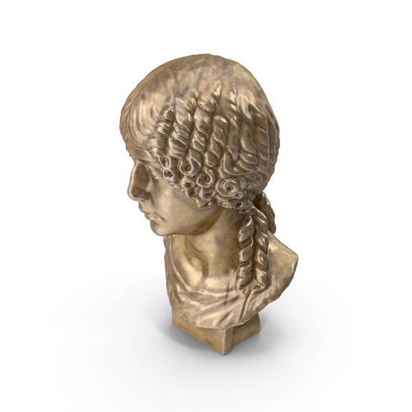 Girl Bust Bronze PNG Images & PSDs for Download | PixelSquid - S116635446