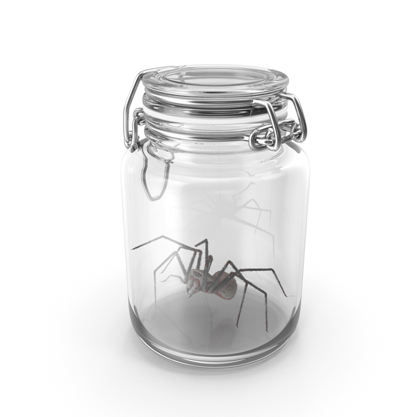 Glass jar with spider PNG & PSD Images Glass jar with spider PNG & PSD Images