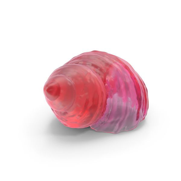 Glass Seashell PNG & PSD Images