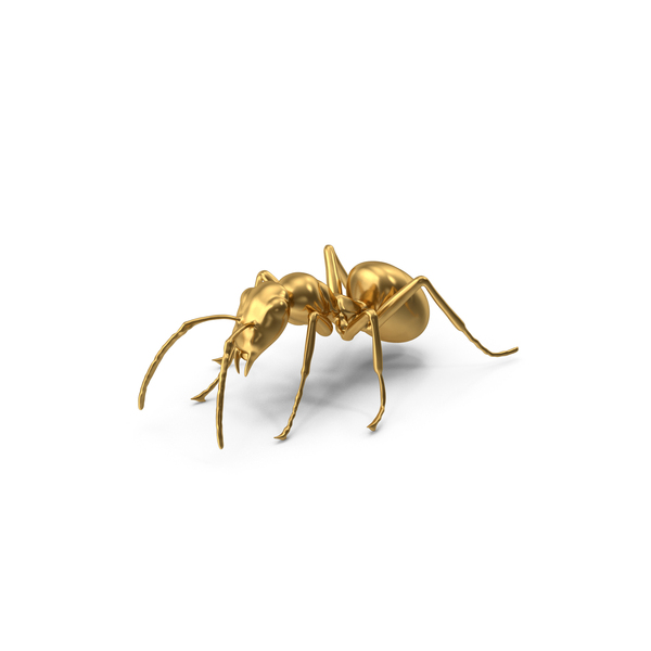 Fire: Gold Ant PNG & PSD Images Fire: Gold Ant PNG & PSD Images