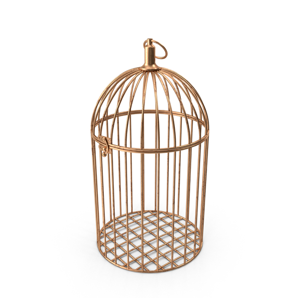 Gold Cage PNG Images & PSDs for Download | PixelSquid - S119192983