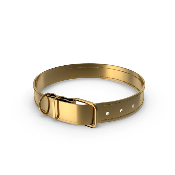 Gold Pet Collar PNG & PSD Images
