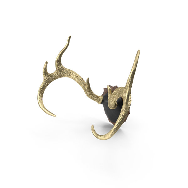 Mounted: Gold Plated Stag Antlers on a Wall Mount PNG & PSD Images