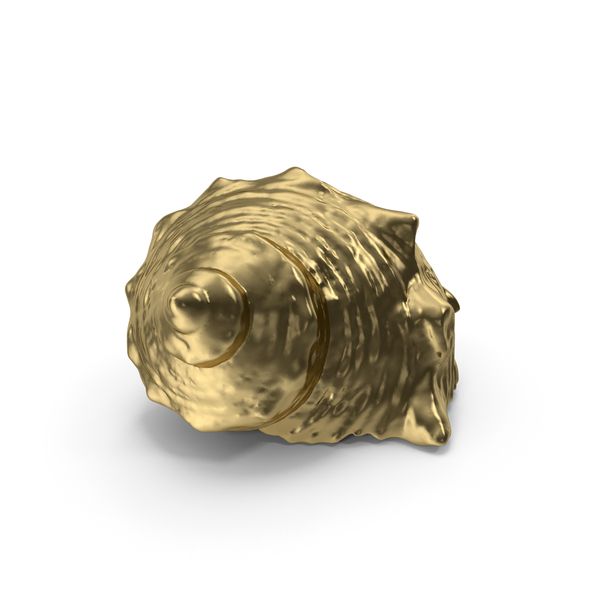 Gold Seashell PNG & PSD Images Gold Seashell PNG & PSD Images