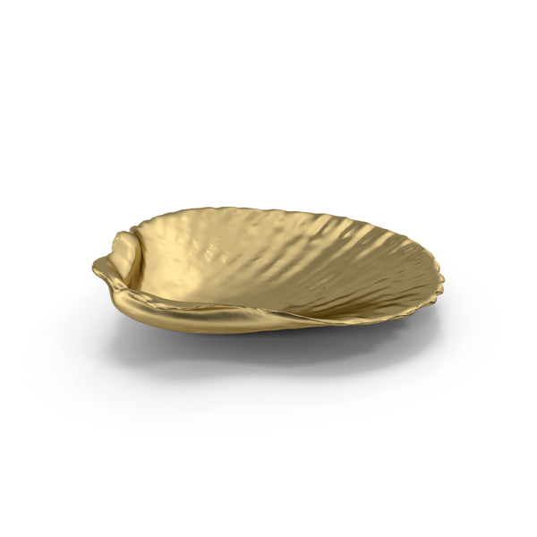 Gold Shell PNG Images & PSDs for Download | PixelSquid - S122923987